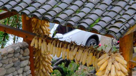 初秋山中农村雨中滴水的屋檐和树叶