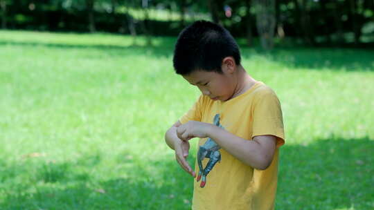 小男孩在树林里捉虫子 玩蚱蜢 蝗虫