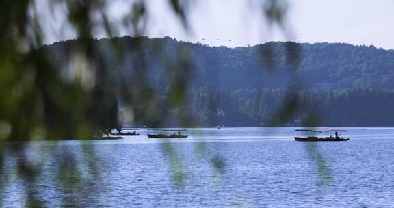 杭州西湖夏天微风手划游船风光