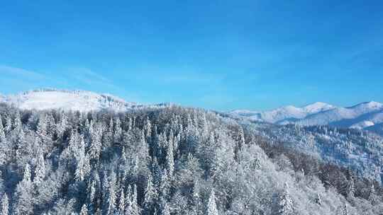 冬季森林雪山航拍