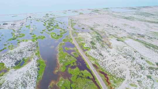 新疆北疆阿勒泰乌伦古湖湿地沼泽公路航拍