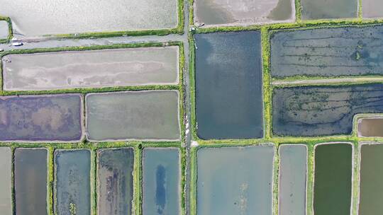 航拍河水灌溉肥沃的水稻田