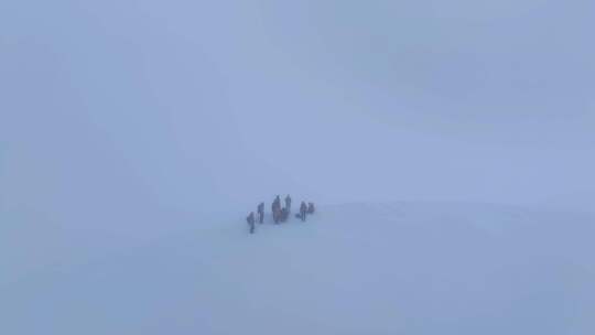 航拍登顶四川第二高峰中山峰的登山队