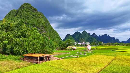 广西桂林阳朔十里画廊玻璃田水稻丰收航拍