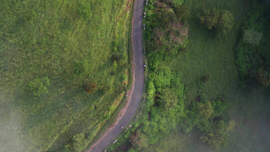 山林间的公路航拍