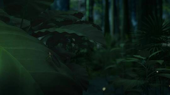 萤火虫树林
