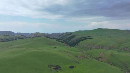 新疆河谷草原风景