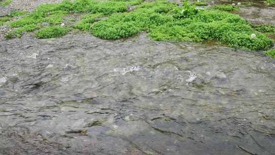 清澈河水河流水源水流溪流溪水