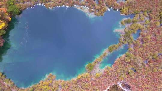 航拍九寨沟秋天诺日朗瀑布镜海彩林水景秋景