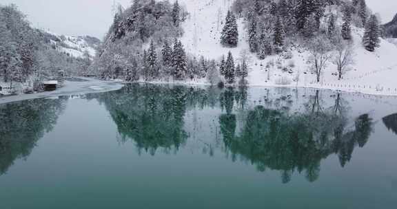 湖，雪，树木，克拉姆湖