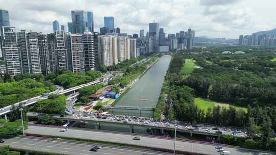 深圳大沙河端午节龙舟比赛