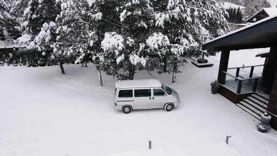 积雪覆盖的地面和树木