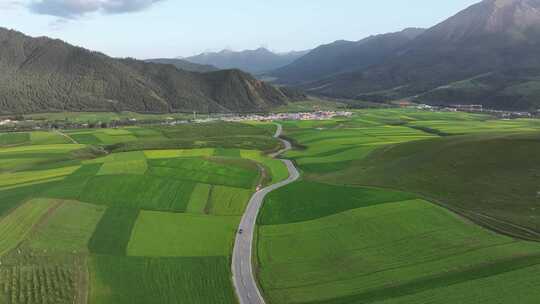 青海海北祁连县卓尔山田野航拍风光