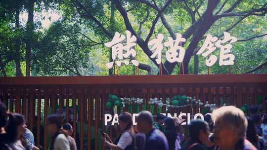 动物园熊猫馆游客行人视频素材模板下载