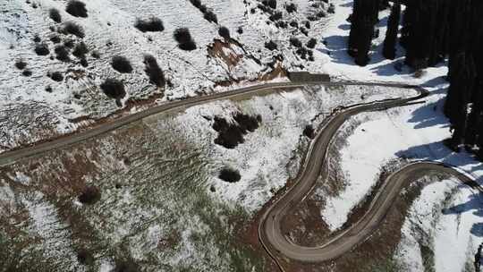 新疆伊犁库尔德宁大气壮观雪山公路丛林景色