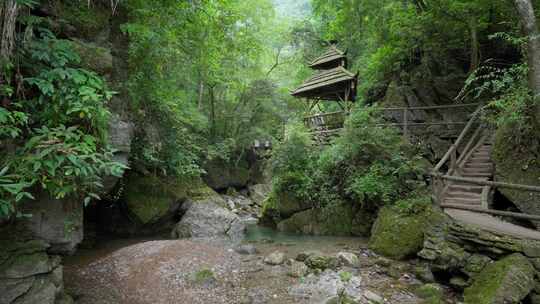 成都青城山后山峡谷森林步道溪流自然景观