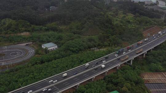 航拍深圳城市生态绿化