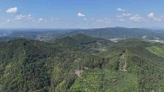 航拍山川丘陵大山山脉森林植物