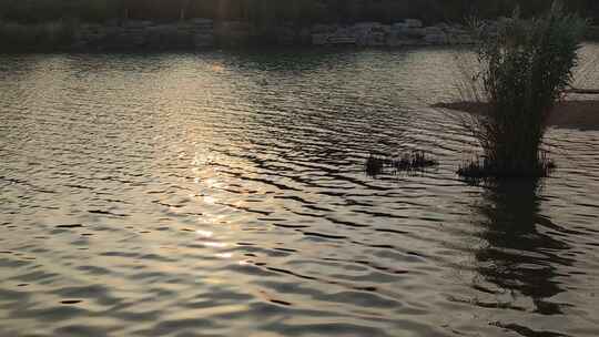 湖面夕阳水波荡漾唯美实拍