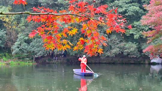 杭州九溪烟树秋季红叶流水
