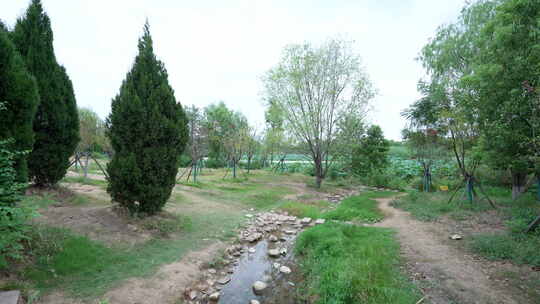 武汉江夏区藏龙岛国家湿地公园