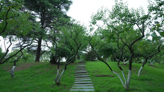 武汉东湖生态旅游风景区