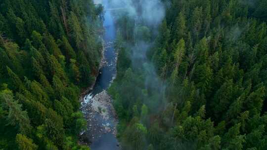 俯拍美丽的森林山脉景观河流瀑布
