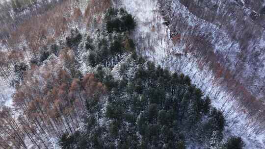 航拍东北下暴雪林海雪原威虎山