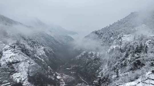 山间雪景雾霭弥漫景象 浙西大峡谷