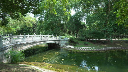 武汉汉口现代园林解放公园