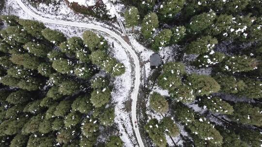 四川彭州中坝护林站 中坝森林冬季雪景