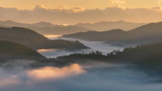 航拍云雾中的茶山