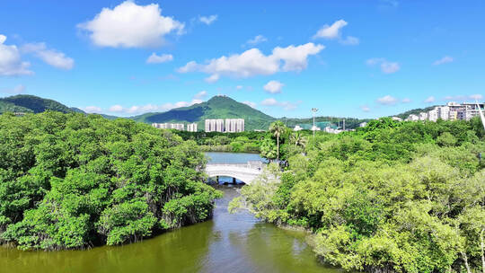 航拍海南三亚市临春河白鹭公园