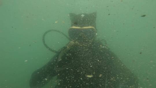 雷州潜水员在水中的手语视频素材模板下载