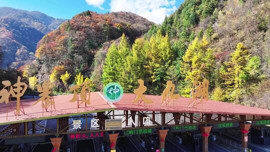 湖北神农架神农顶大九湖景区