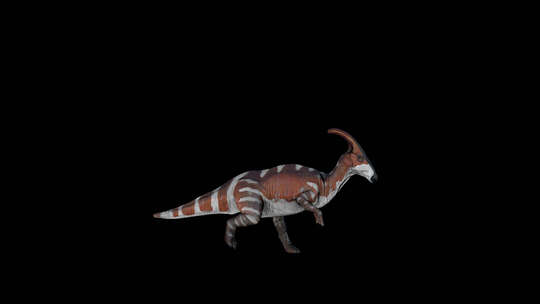 恐龙Parasaurolophus Ru