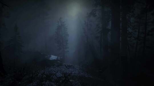 森林中的恐怖场景，神秘的树木，黑夜，雾中