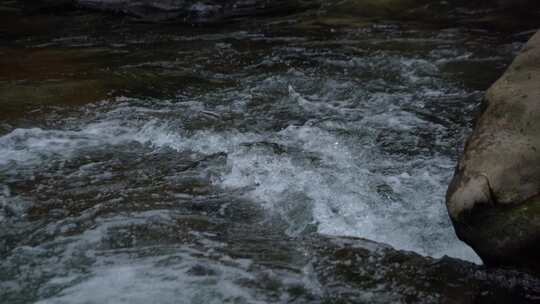 山间小溪 清澈的泉水 空镜头4K视频素材模板下载