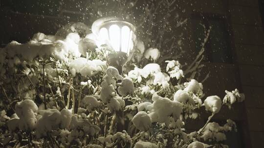 小区下雪夜景唯美飘雪