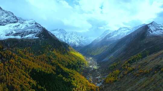 雪山下多彩树林的壮丽景观