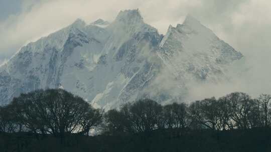 喜马拉雅山，雪山，树木，雾