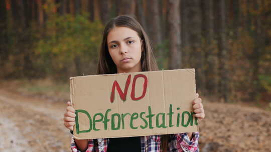 没有森林砍伐的少女海报