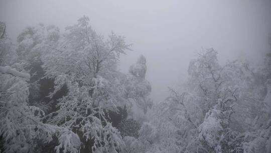 黄山 雪景 雾凇