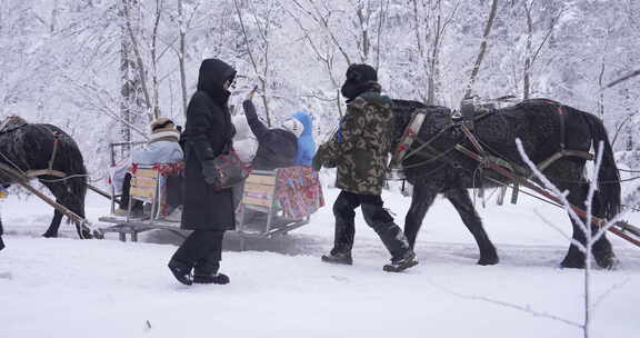 雪岭马拉爬犁