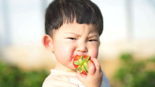 小孩在草莓地 幼儿在草莓地玩耍