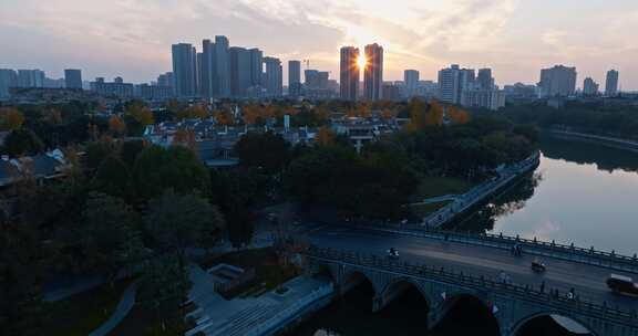 成都夕阳下金黄的银杏点缀着城市别墅小区