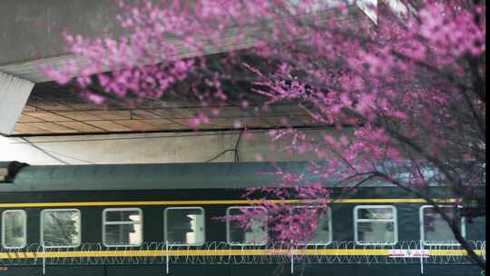 杭州开往春天的列车