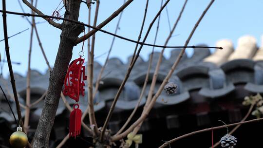 新年北京胡同树上挂的福签新年快乐