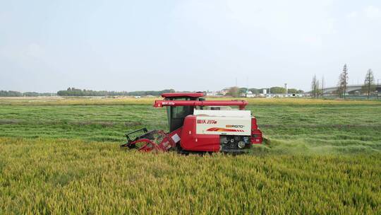 航拍割稻机秋天农田水稻田丰收粮食大米