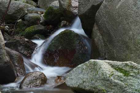 溪流延时 河流 溪流 溪水